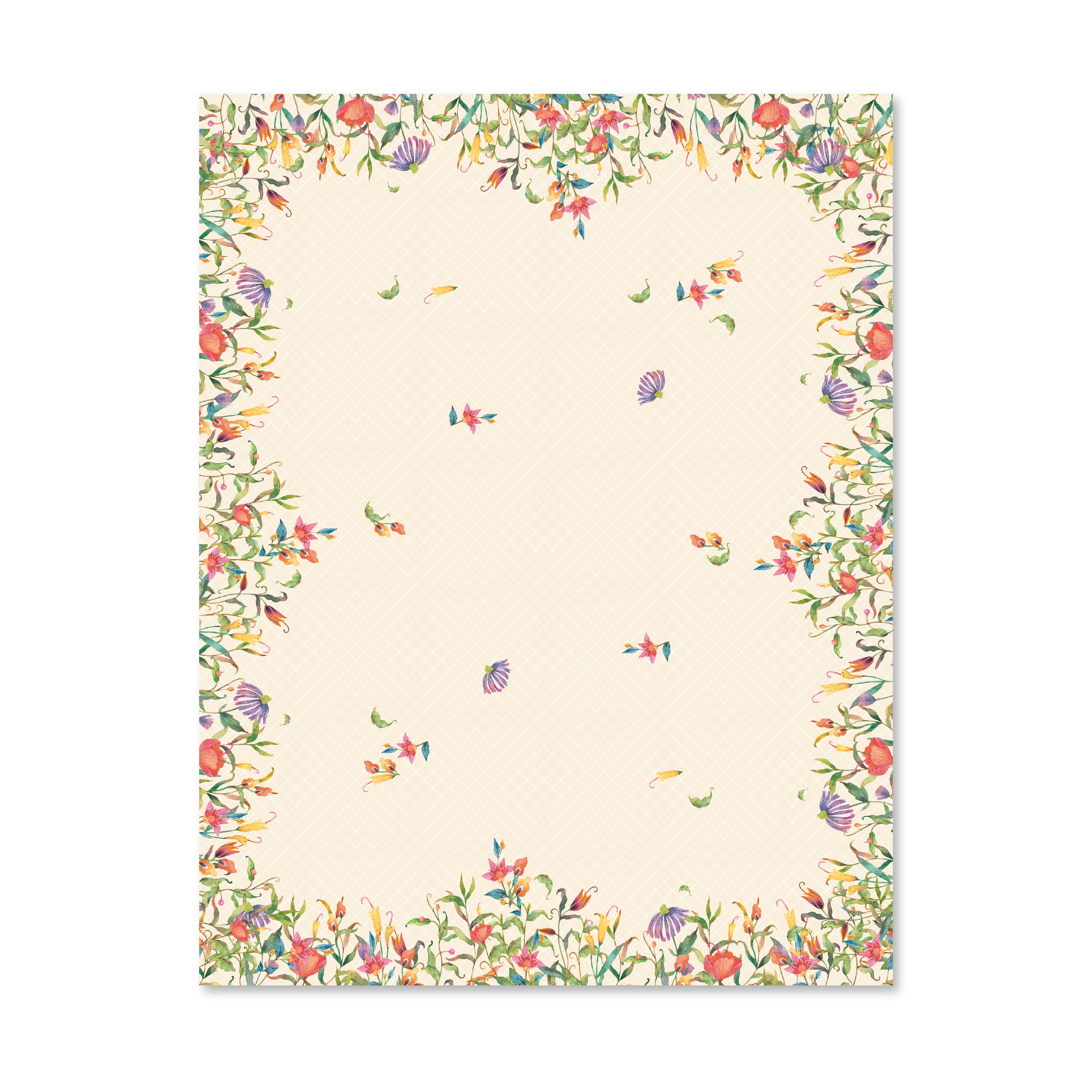 outdoor_25_cial_desen-07.webp